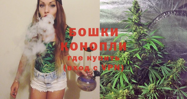 спиды Новодвинск