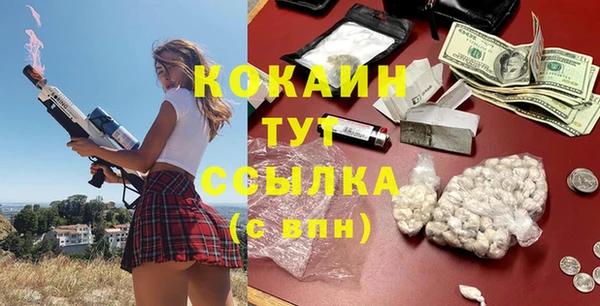 apvp Алзамай