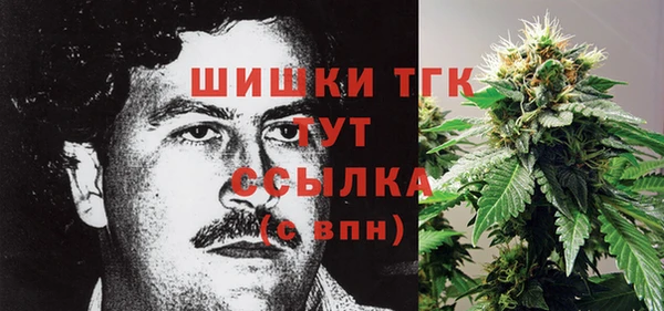 apvp Алзамай