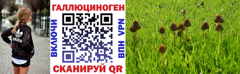 Псилоцибиновые грибы Cubensis  Уяр 